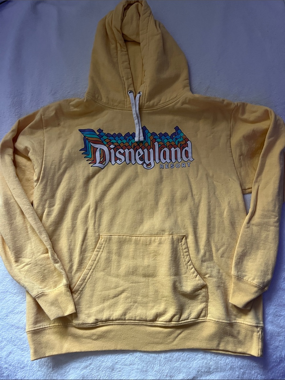 Disneyland Hoodie